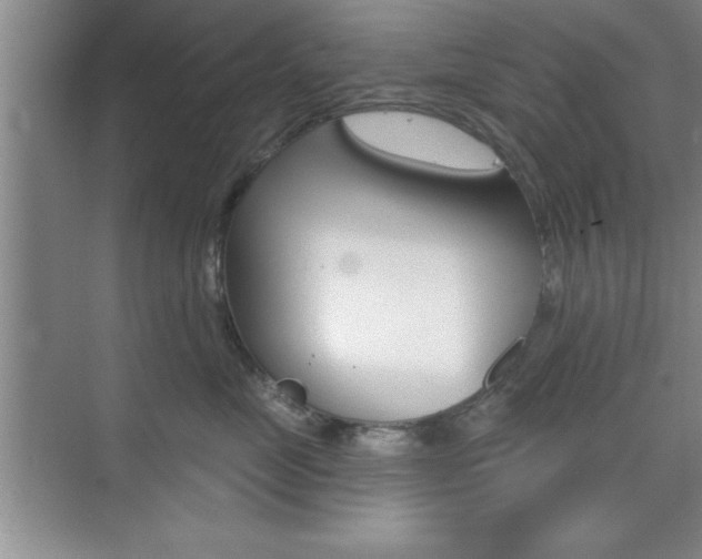 X0000073870669200608101108