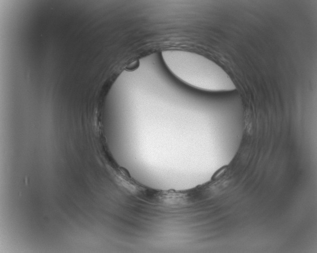 X0000073870670200608101108