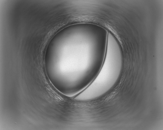 X0000073870673200608101108