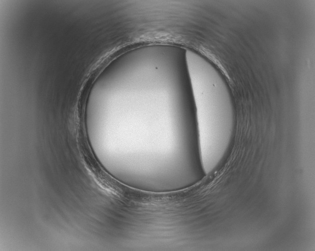 X0000073870674200608101107