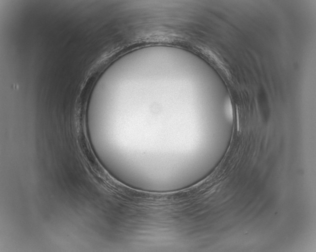 X0000073870675200608101107