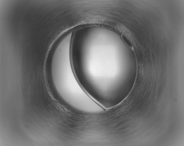 X0000073870676200608101107