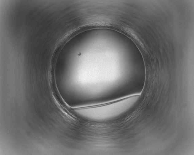 X0000073870677200608101107