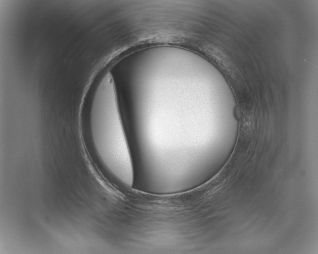 X0000073870678200608101107