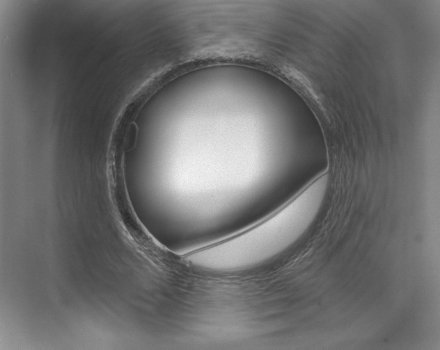 X0000073870680200608101107