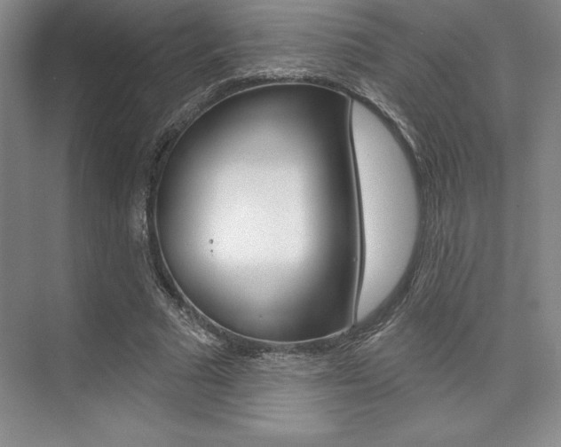 X0000073870681200608101107