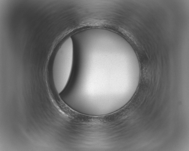 X0000073870682200608101107