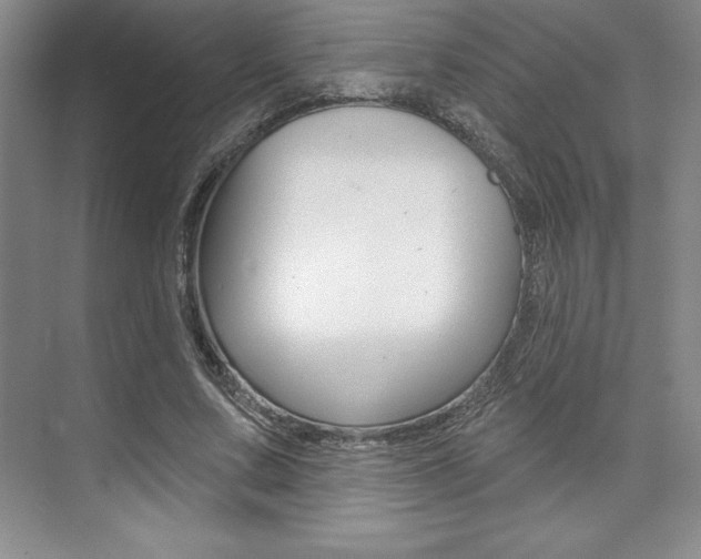 X0000073870683200608101107