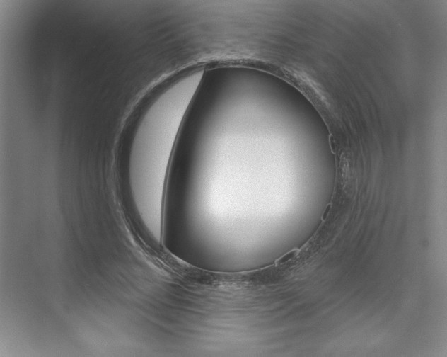 X0000073870684200608101107