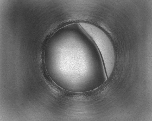 X0000073870685200608101107