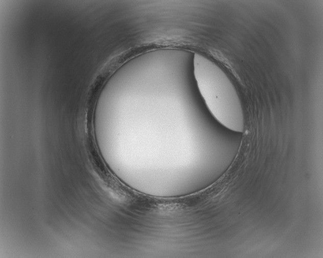 X0000073870686200608101107