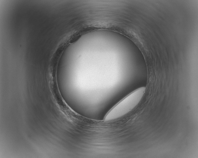 X0000073870688200608101107