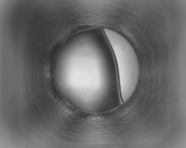 X0000073870689200608101107