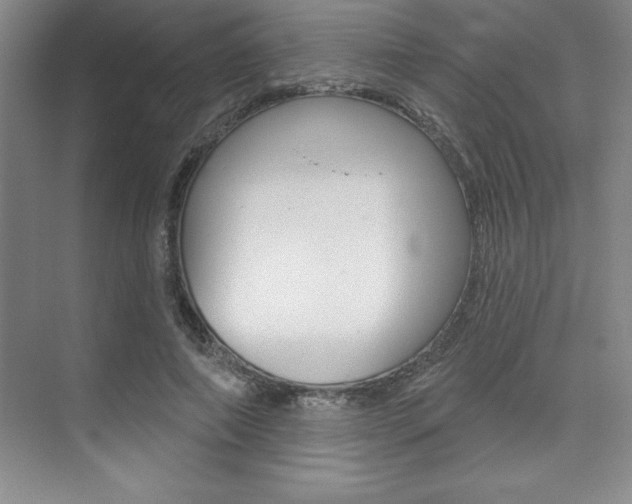 X0000073870690200608101107