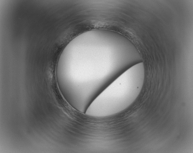 X0000073870691200608101107