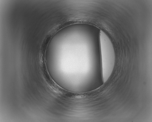 X0000073870692200608101107