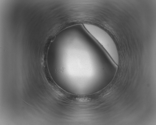 X0000073870693200608101107