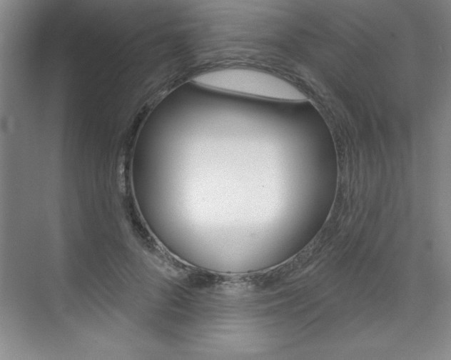 X0000073870696200608101107