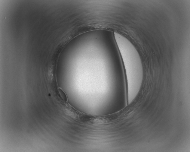 X0000073870697200608101107