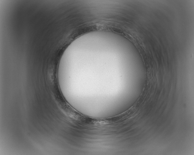 X0000073870698200608101107