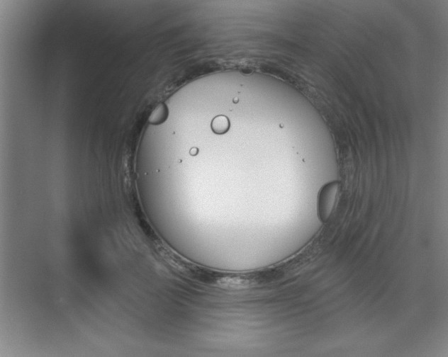 X0000073870699200608101107