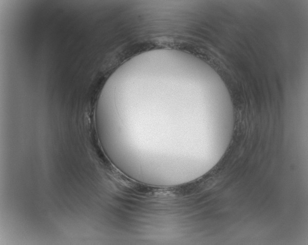 X0000073870702200608101107