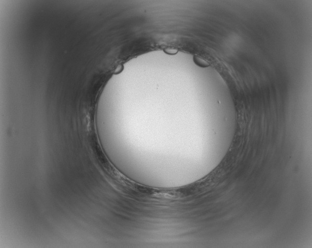 X0000073870703200608101107