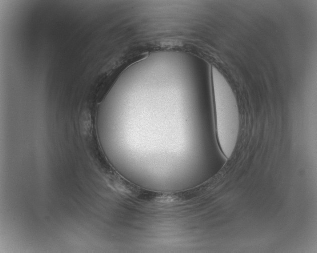 X0000073870704200608101107