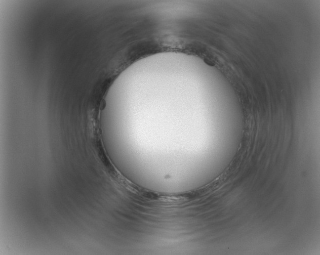 X0000073870707200608101107