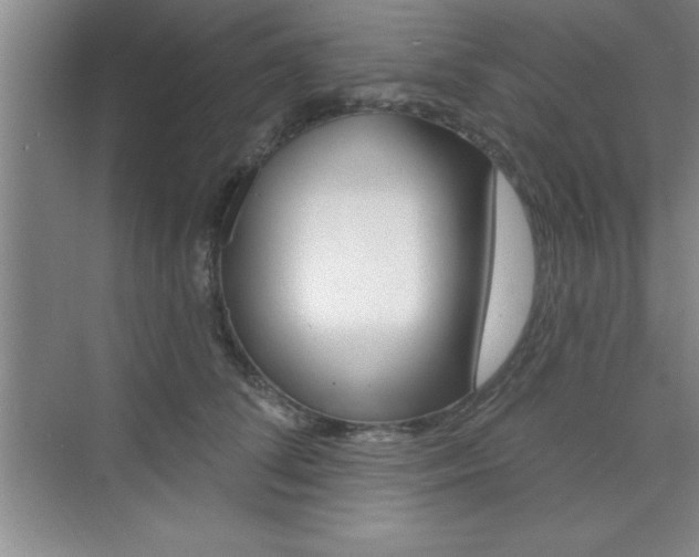 X0000073870708200608101107