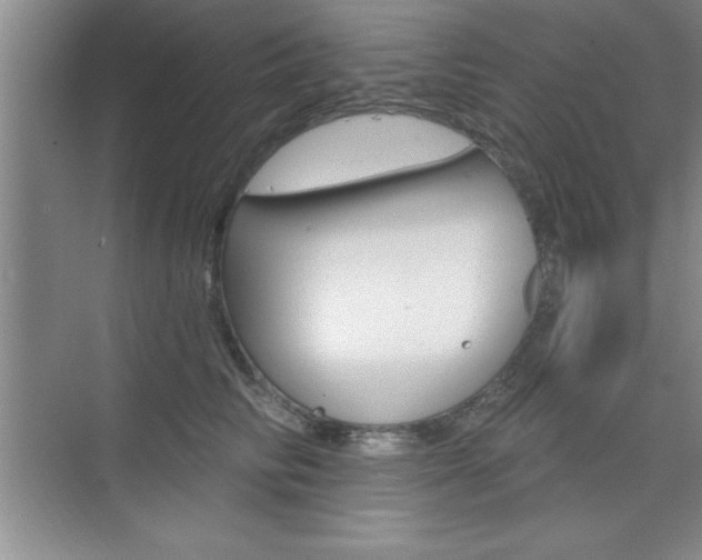 X0000073870710200608101107