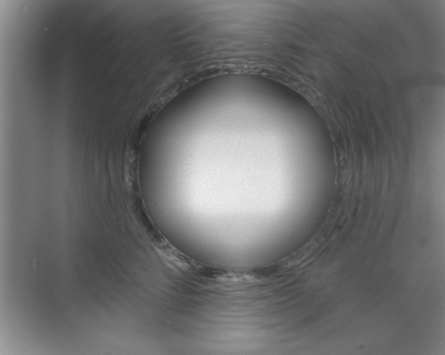 X0000073870712200608101107