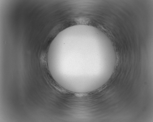 X0000073870713200608101107