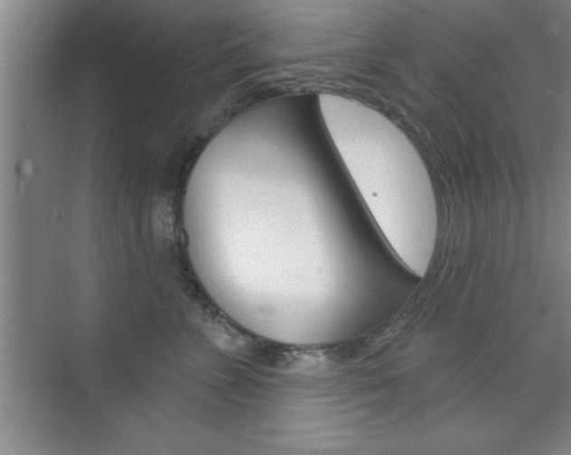 X0000073870715200608101107