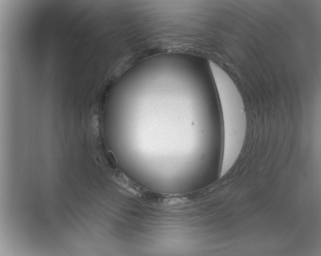 X0000073870716200608101107