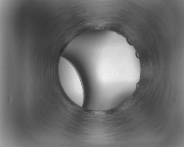 X0000073870719200608101107