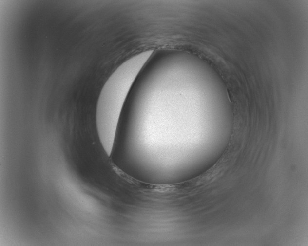 X0000073870720200608101107