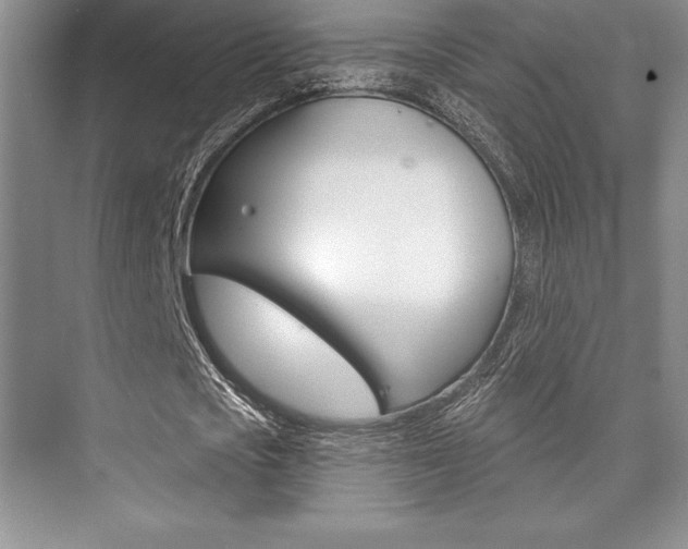 X0000073870721200608101106