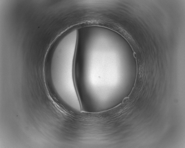 X0000073870722200608101106