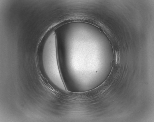 X0000073870723200608101106