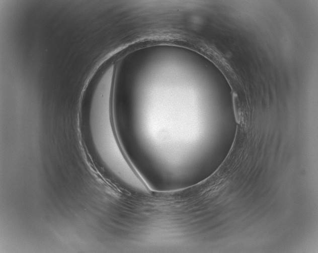 X0000073870724200608101106