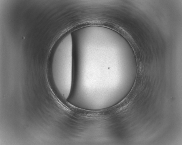 X0000073870725200608101106