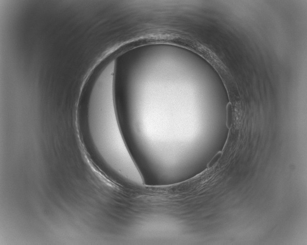 X0000073870726200608101106