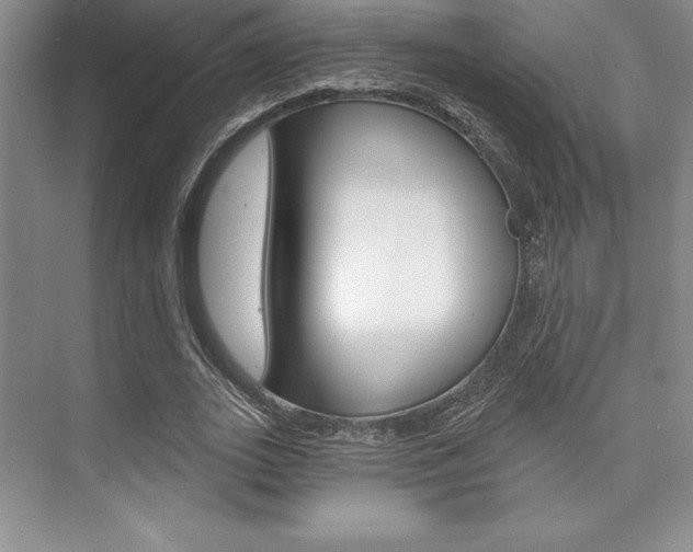 X0000073870727200608101106