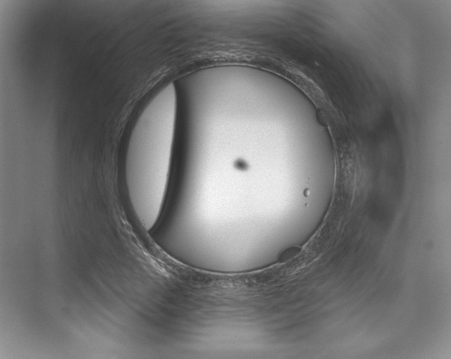 X0000073870729200608101106