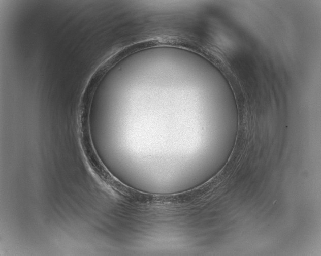 X0000073870730200608101106