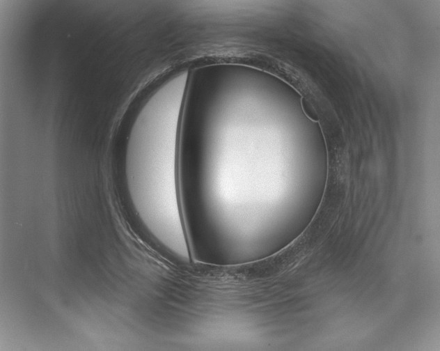 X0000073870731200608101106