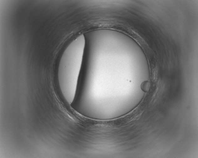 X0000073870733200608101106