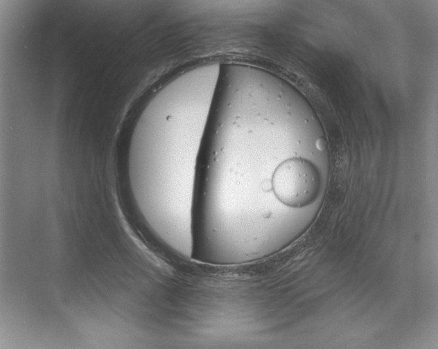 X0000073870734200608101106