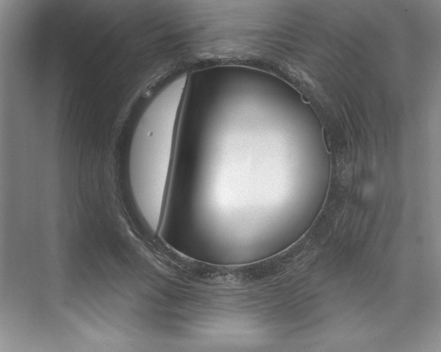 X0000073870735200608101106